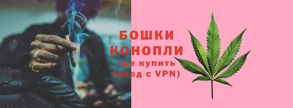 стаф Магадан