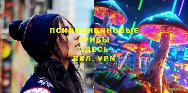 амф Медногорск