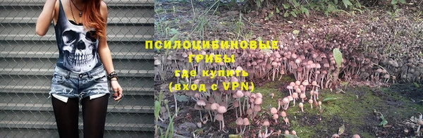 винт Мегион