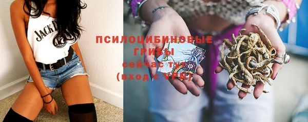 стаф Магадан