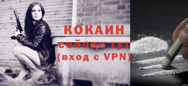 стаф Магадан