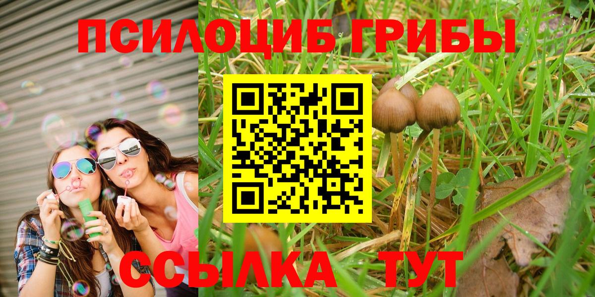 Галлюциногенные грибы мухоморы  Брянск 