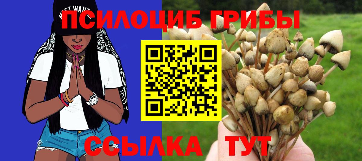 Галлюциногенные грибы прущие грибы Брянск