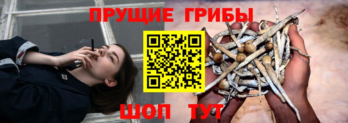Брянск  Галлюциногенные грибы мицелий  Вход с VPN  Псилоцибиновые грибы ЛСД 